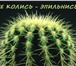 Фото в Красота и здоровье Косметические услуги Депиляция горячим и теплым воском.Качественно.Дорогие в Сочи 100