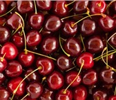 Фото в Прочее,  разное Разное Предлагаем вкусную и сочную черешню оптом в Москве 450