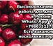 Foto в Работа Вакансии Для работы в Липецке и Воронеже требуются в Грязи 300 000