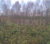 Foto в Недвижимость Земельные участки Участок в перспективном, динамично развивающемся в Тюмени 500 000