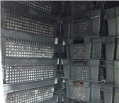 Изображение в Прочее,  разное Разное Ящики для овощей и фруктов ОПТОМПерфорированные в Москве 0