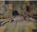 Продам шотландских котят с документами 191760  фото в Саратове