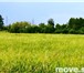 Фото в Недвижимость Земельные участки Распродажа земельных участков 5 километров в Красноярске 137 000
