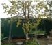 Фото в Недвижимость Продажа домов Кирпичный дом, расположен в п. Емельяново, в Красноярске 7 500 000
