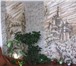 Фото в Строительство и ремонт Дизайн интерьера Декорирование интерьеров настенной живописью. в Омске 2 500