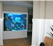 Фотография в Домашние животные Рыбки Аквариумные комплексы из акрилового стекла в Перми 5 000