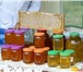 Фото в Хобби и увлечения Разное Продам мед с собственной пасеки из Башкирии. в Екатеринбурге 200