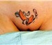 Фотография в Красота и здоровье Косметические услуги Татуировки любой сложности. Художественные, в Москве 1 500
