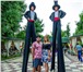Foto в Развлечения и досуг Организация праздников Ходулисты – самые высокие яркие персонажи в Сочи 3 000