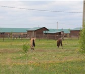 Foto в Недвижимость Продажа домов Новый дом в Веськово, площадью 72 м2. Участок в Москве 1 100 000