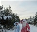 Фото в Развлечения и досуг Организация праздников Дед Мороз и Снегурочка у Вас на празднике в Томске 1 500