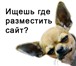 Фото в Прочее,  разное Разное Web хостинг сайтов включает•популярную панель в Калуге 1