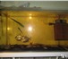 Фото в Домашние животные Рыбки Продам аквариум на 118 литров б.у. Вместе в Томске 3 000