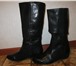 Foto в Одежда и обувь Женская обувь Продам совершенно новые жен сапоги осень-весна, в Ульяновске 3 500