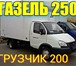 Фото в Авторынок Транспорт, грузоперевозки Пермь Газель Грузоперевозки 89124978442 Газель в Перми 50