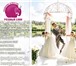 Foto в Развлечения и досуг Организация праздников Свадебный баннер и Press Wall на свадьбу в Солнечногорск 1 000