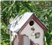Фотография в Домашние животные Птички Скворечники, кормушки для птиц в Набережных Челнах 1 500