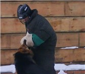Фотография в Домашние животные Услуги для животных Завели собаку и не знаете как воспитывать?! в Москве 0