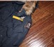 Foto в Одежда и обувь Женская одежда продам абсолютно новый женский пуховик ParaJumpers в Красноярске 35 000